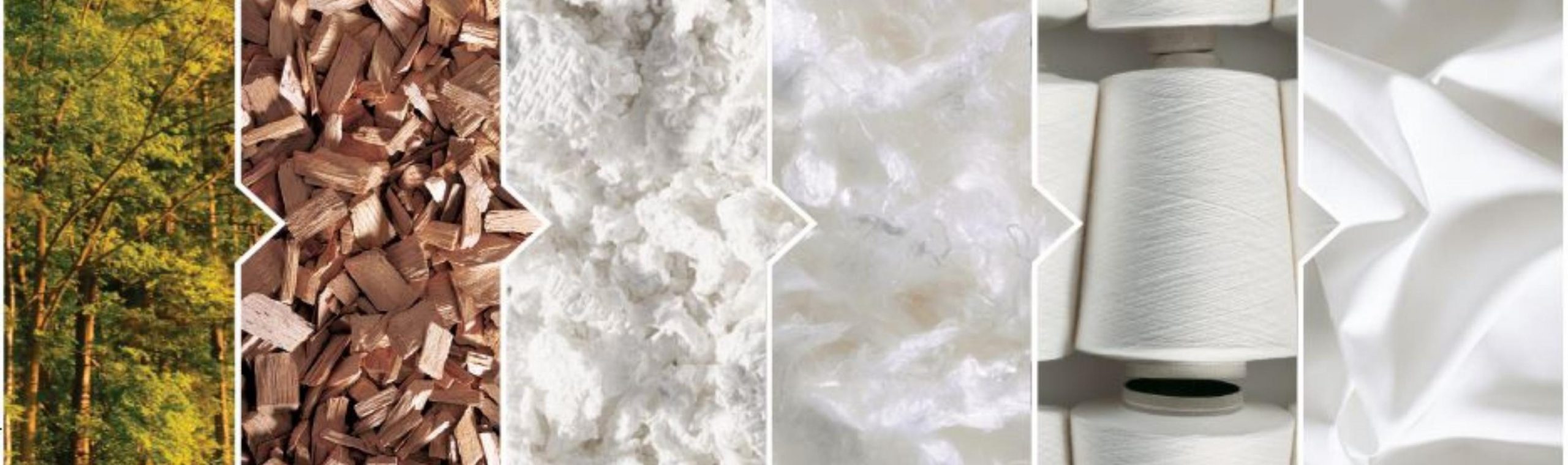 Fiber Preparation